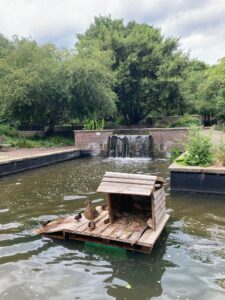 Duck house in pond in Elthorne Park